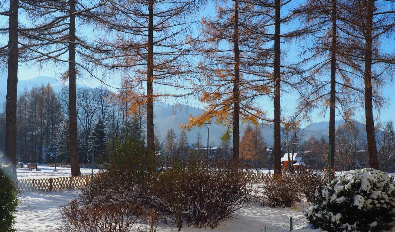 Apartament Liliowa Przelecz Zakopane Exterior foto